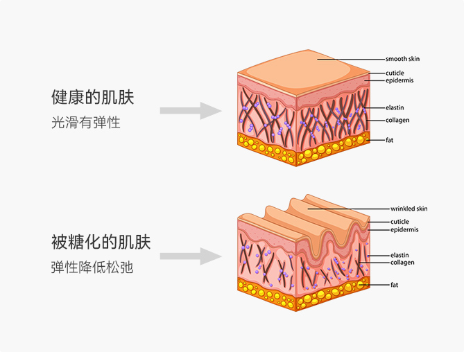 Skin anti-Glycation-youshida